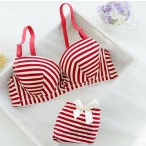 NWOT bra set.